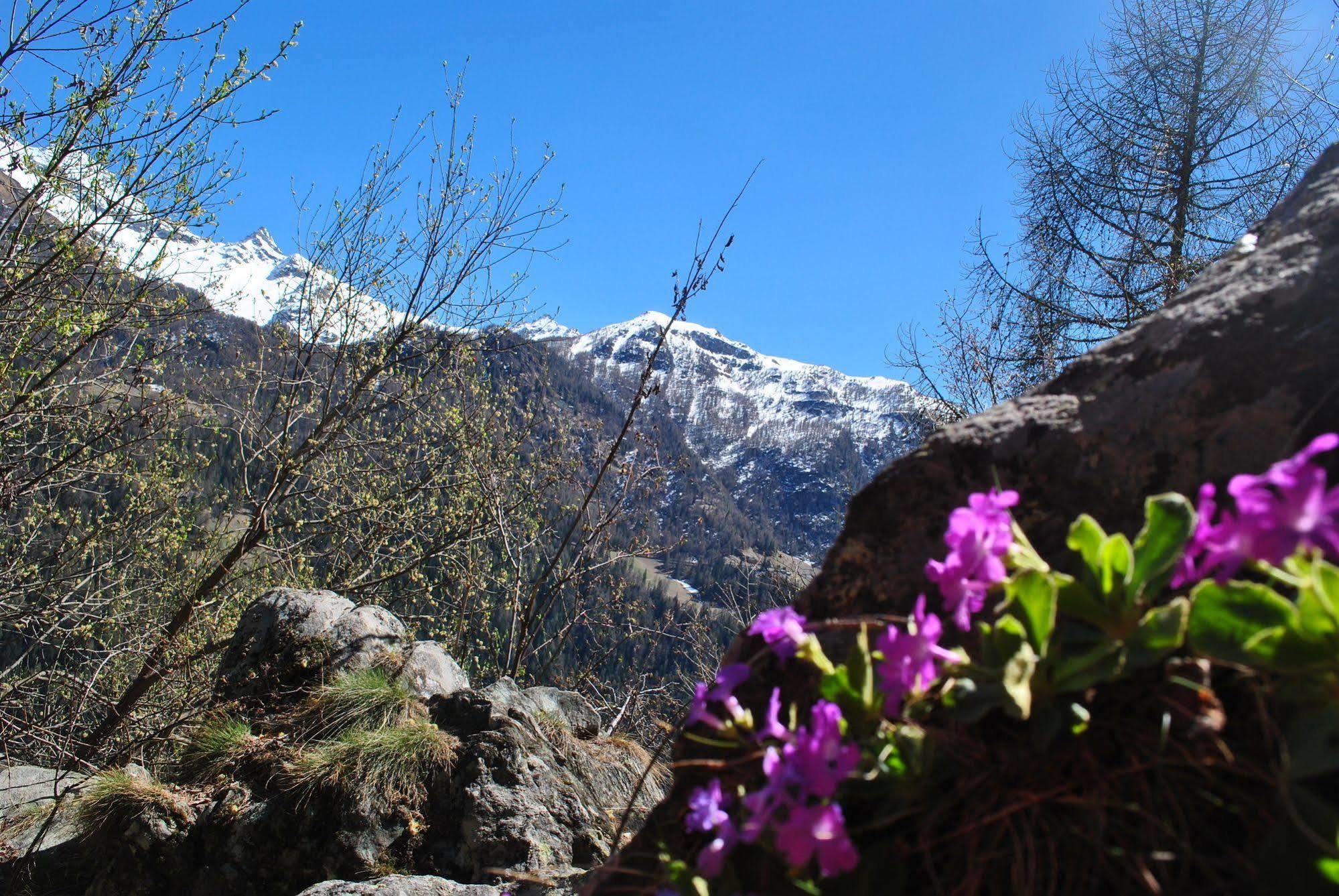 Hotell Millefiori- Alpine Event Lodge Valtournenche Bagian luar foto