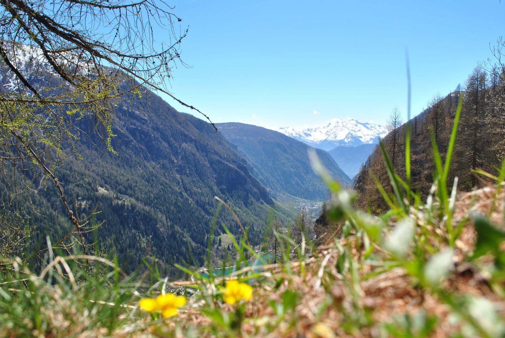 Hotell Millefiori- Alpine Event Lodge Valtournenche Bagian luar foto