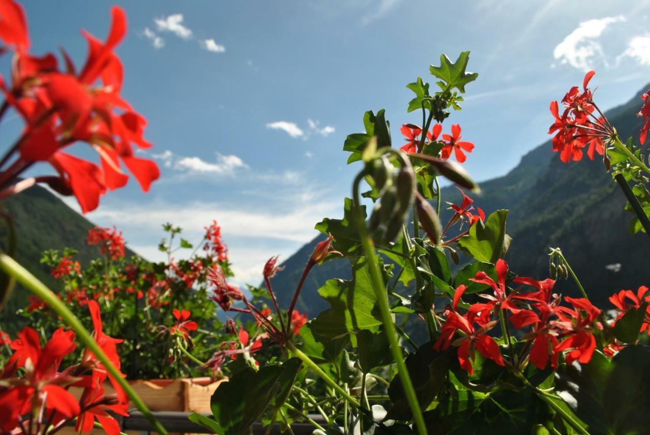 Hotell Millefiori- Alpine Event Lodge Valtournenche Bagian luar foto