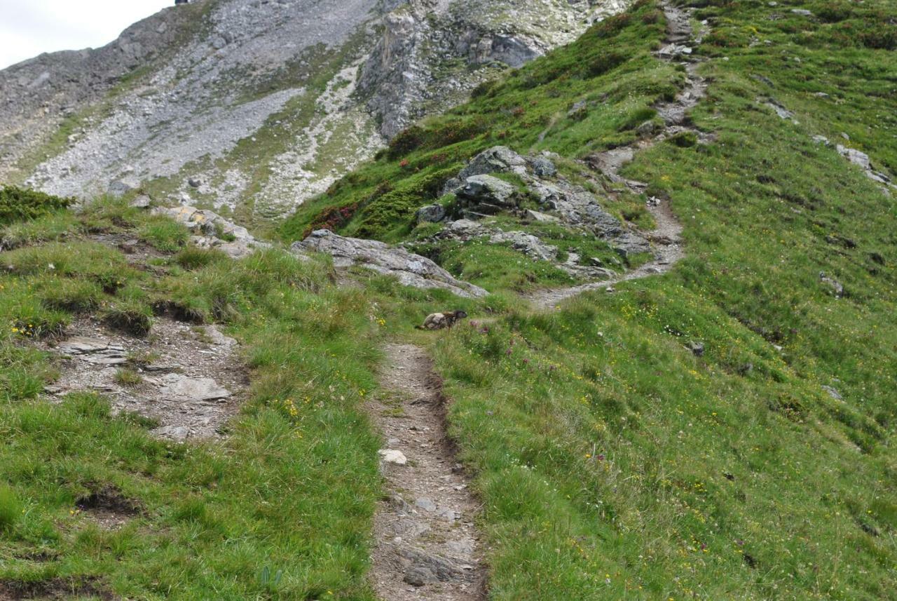 Hotell Millefiori- Alpine Event Lodge Valtournenche Bagian luar foto